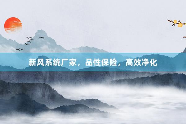 新风系统厂家，品性保险，高效净化