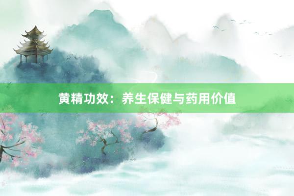 黄精功效：养生保健与药用价值
