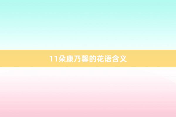 11朵康乃馨的花语含义