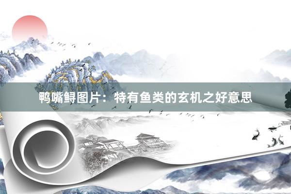 鸭嘴鲟图片：特有鱼类的玄机之好意思